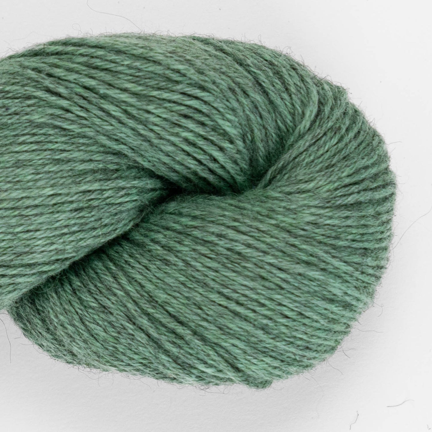 DUNA COTTON ALPAKA