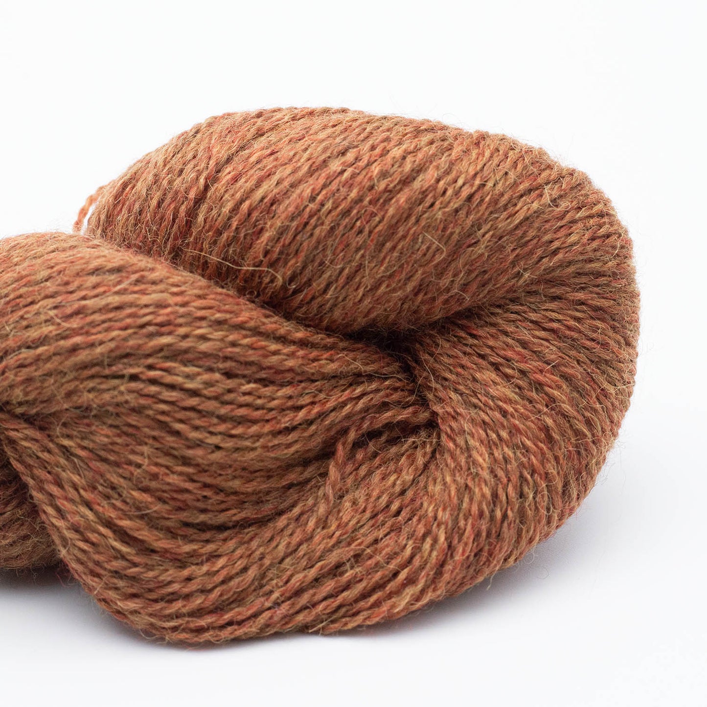 BABYALPACA 10/2