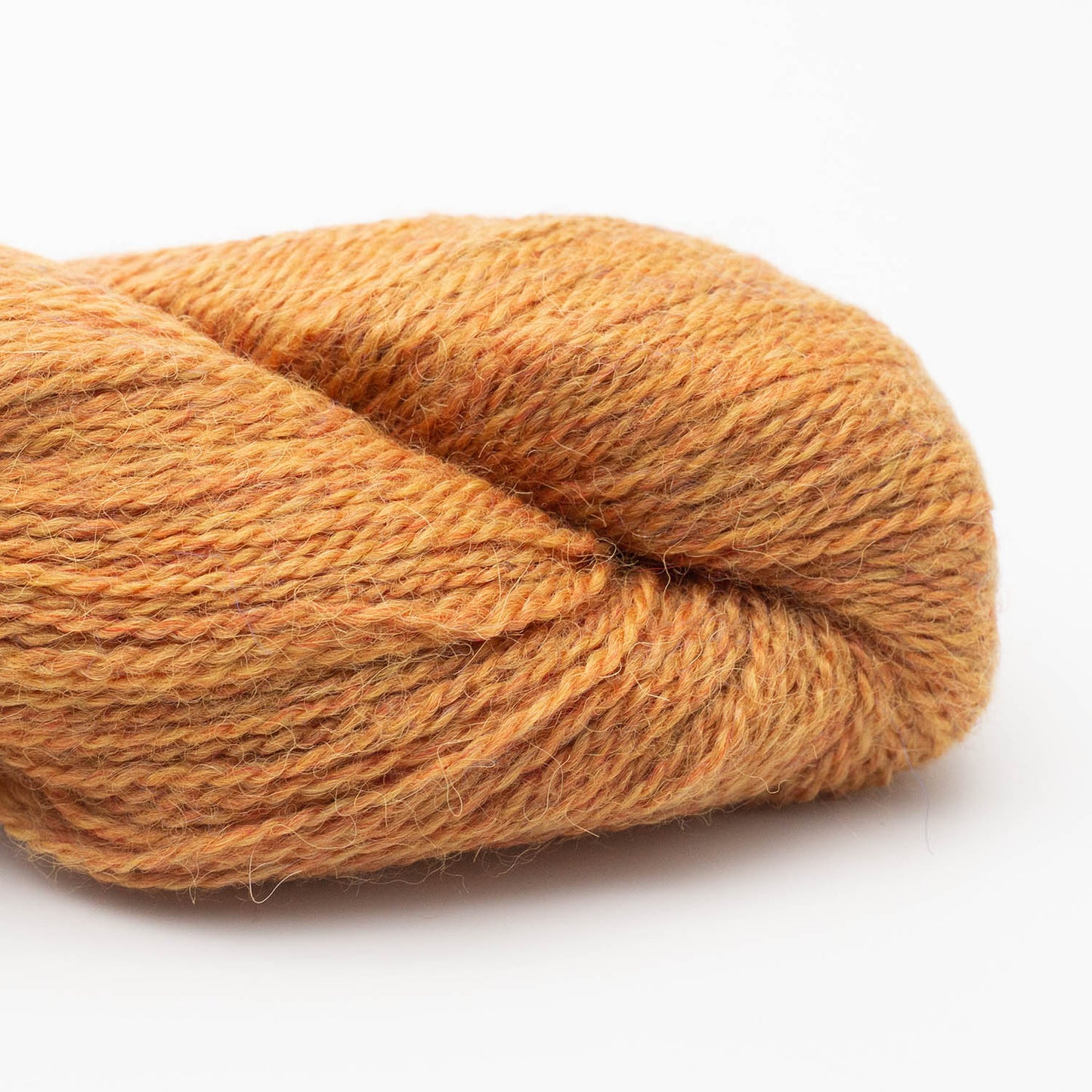 BABYALPACA 10/2