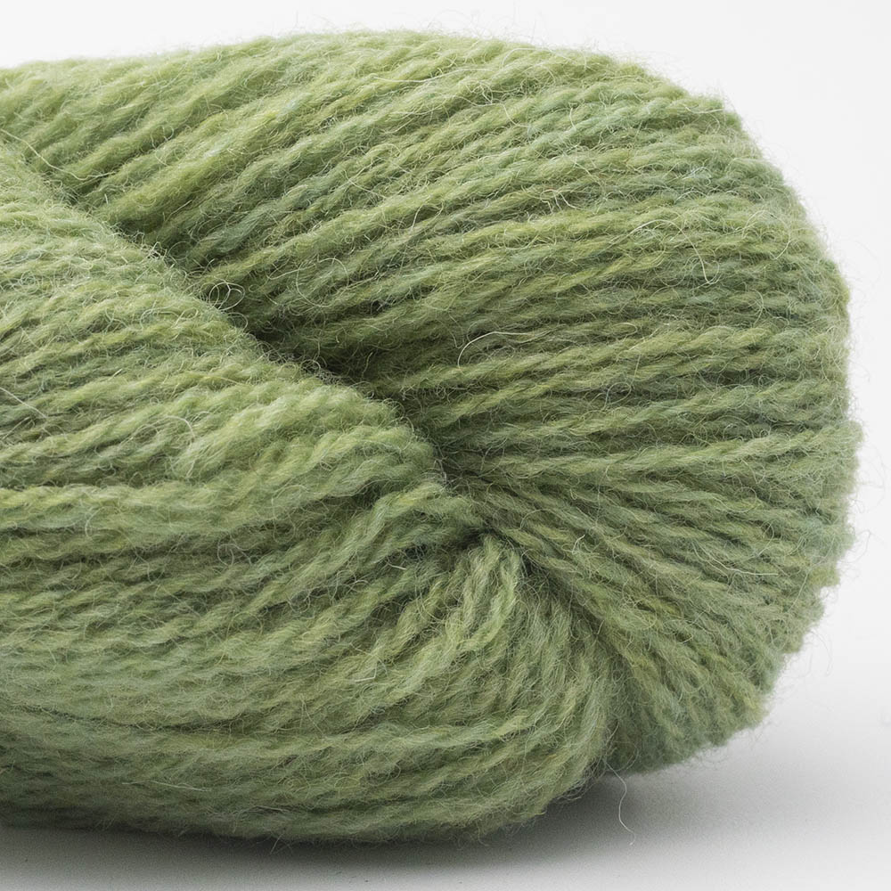 BIO SHETLAND