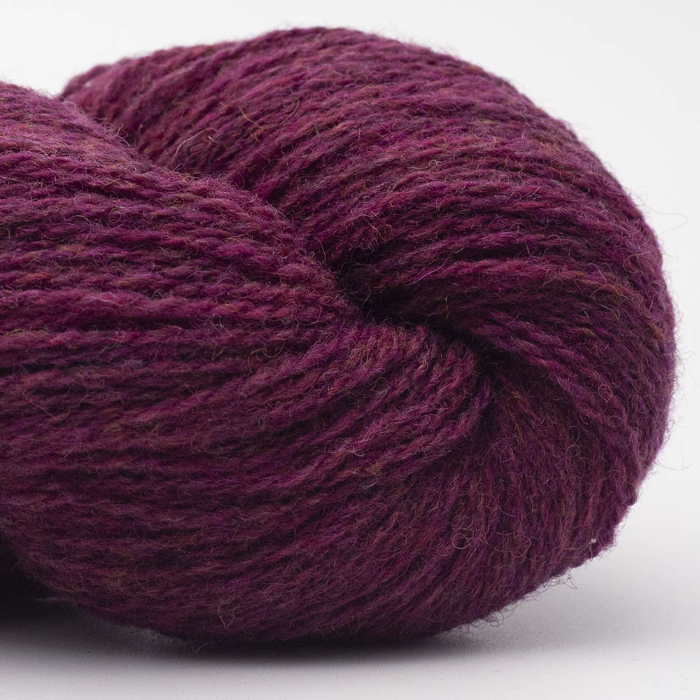 BIO SHETLAND