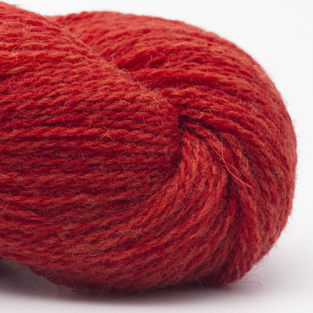 BIO SHETLAND