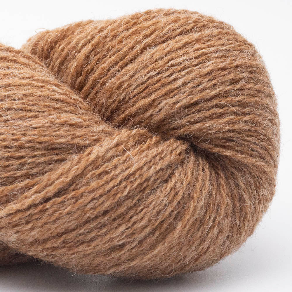 BIO SHETLAND