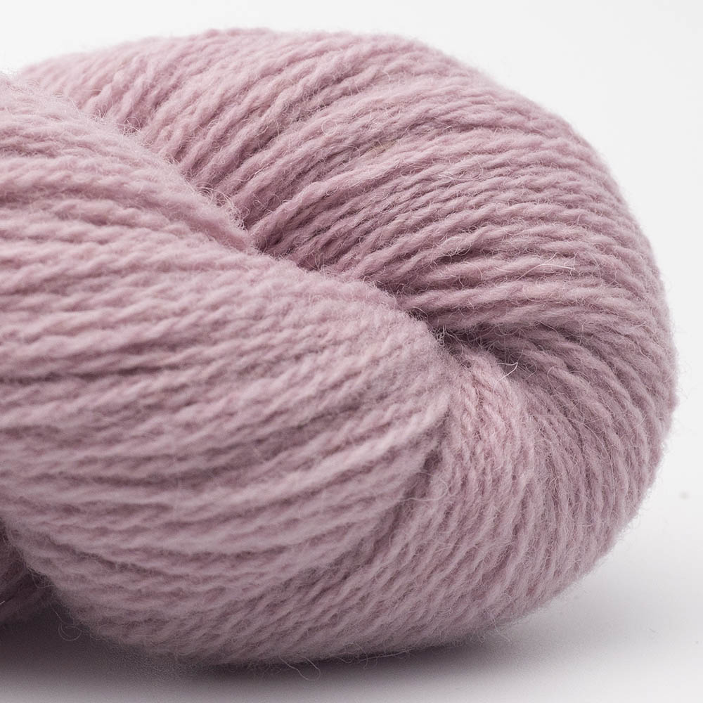 BIO SHETLAND