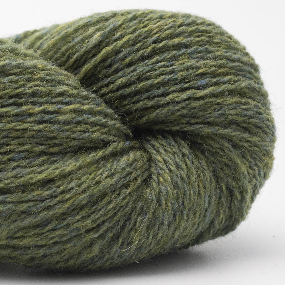 BIO SHETLAND
