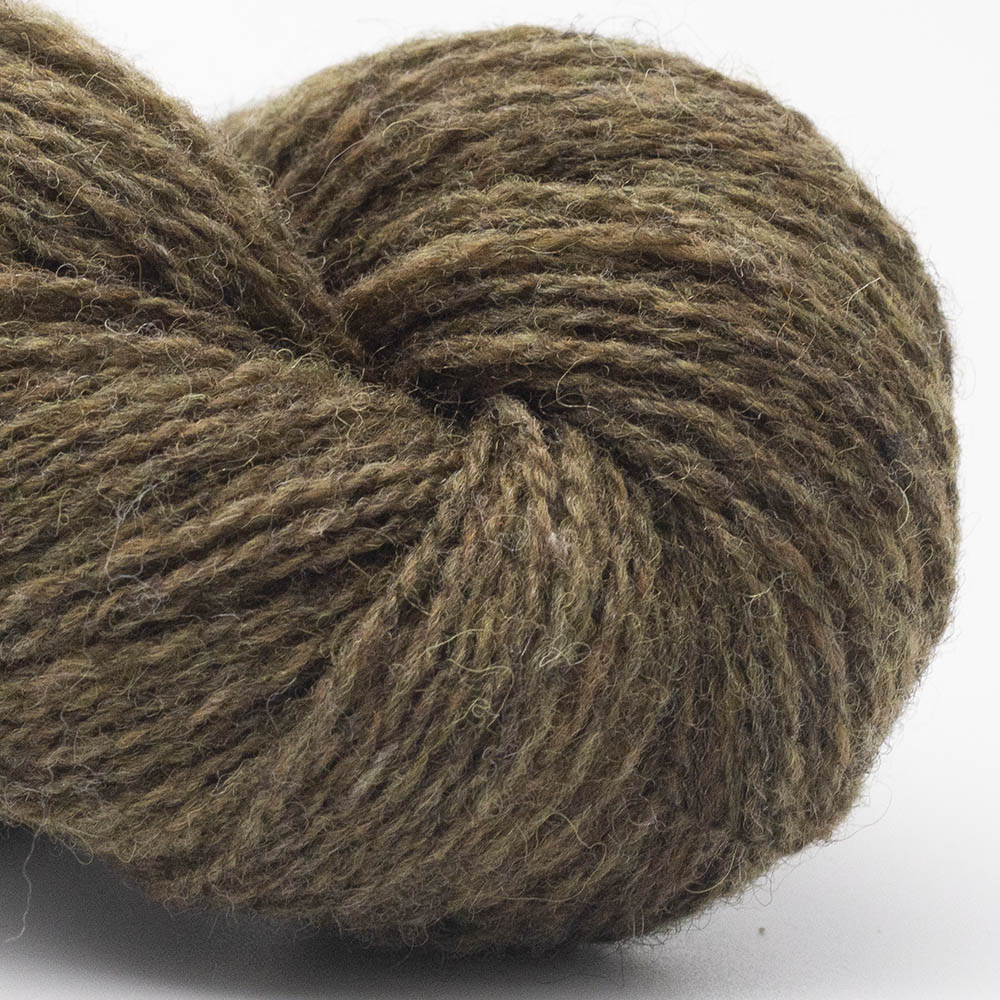 BIO SHETLAND