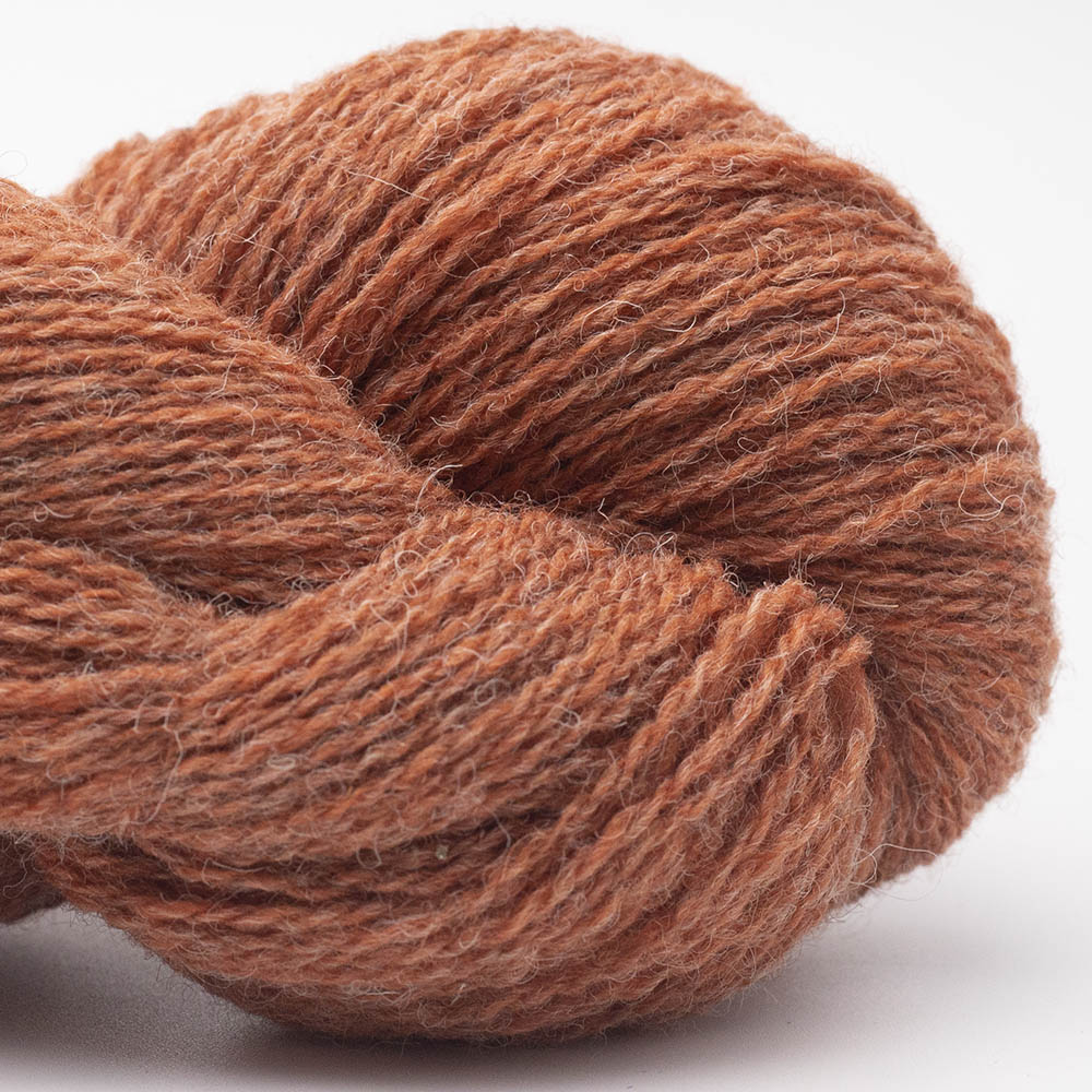BIO SHETLAND