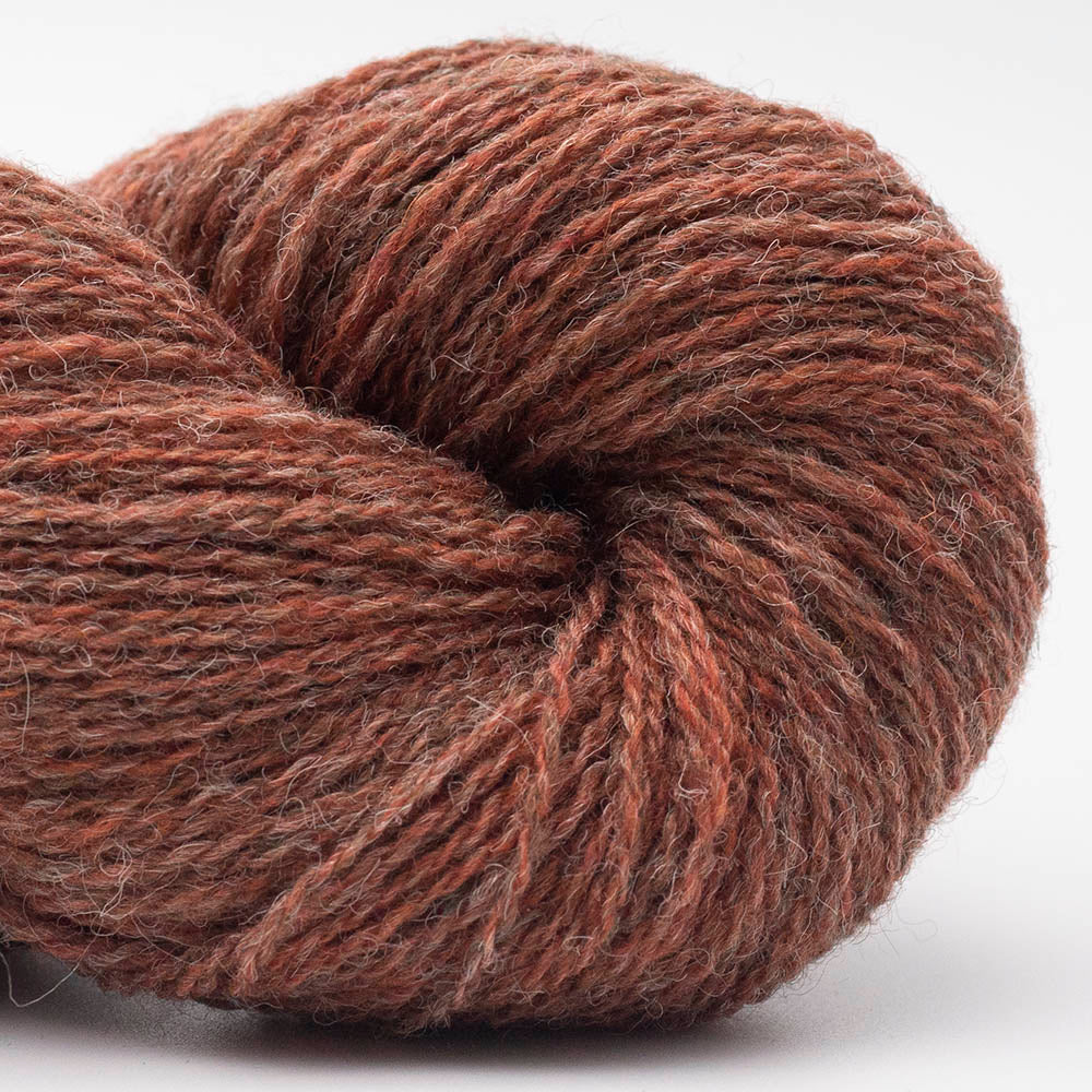 BIO SHETLAND