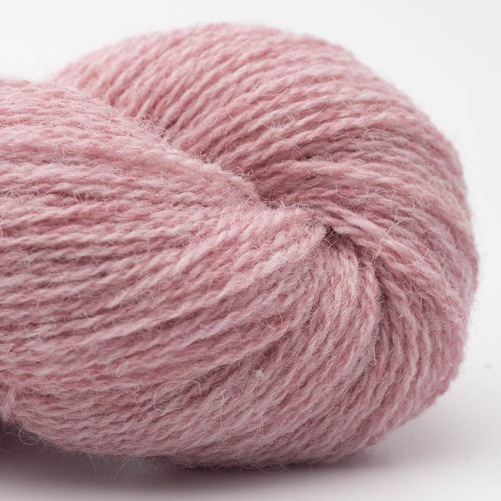 BIO SHETLAND