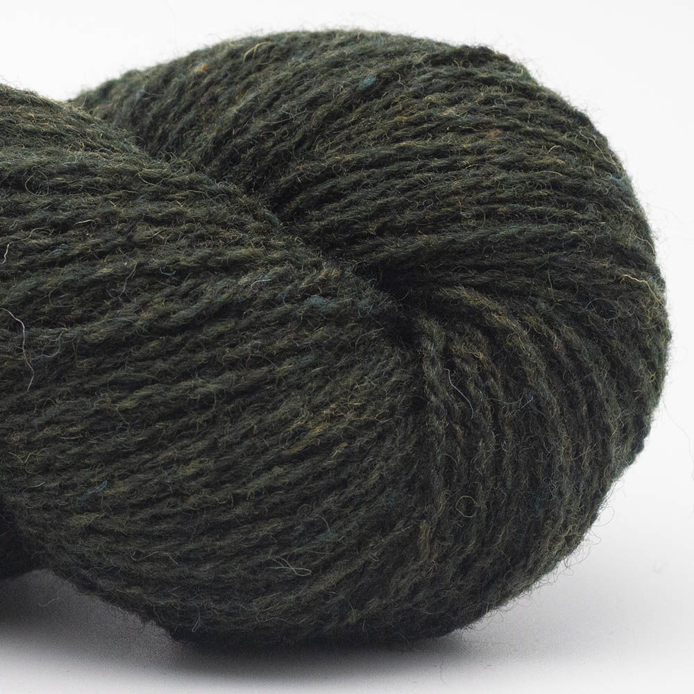 BIO SHETLAND