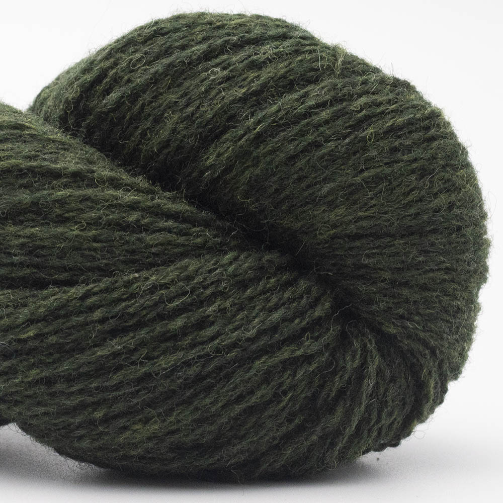 BIO SHETLAND