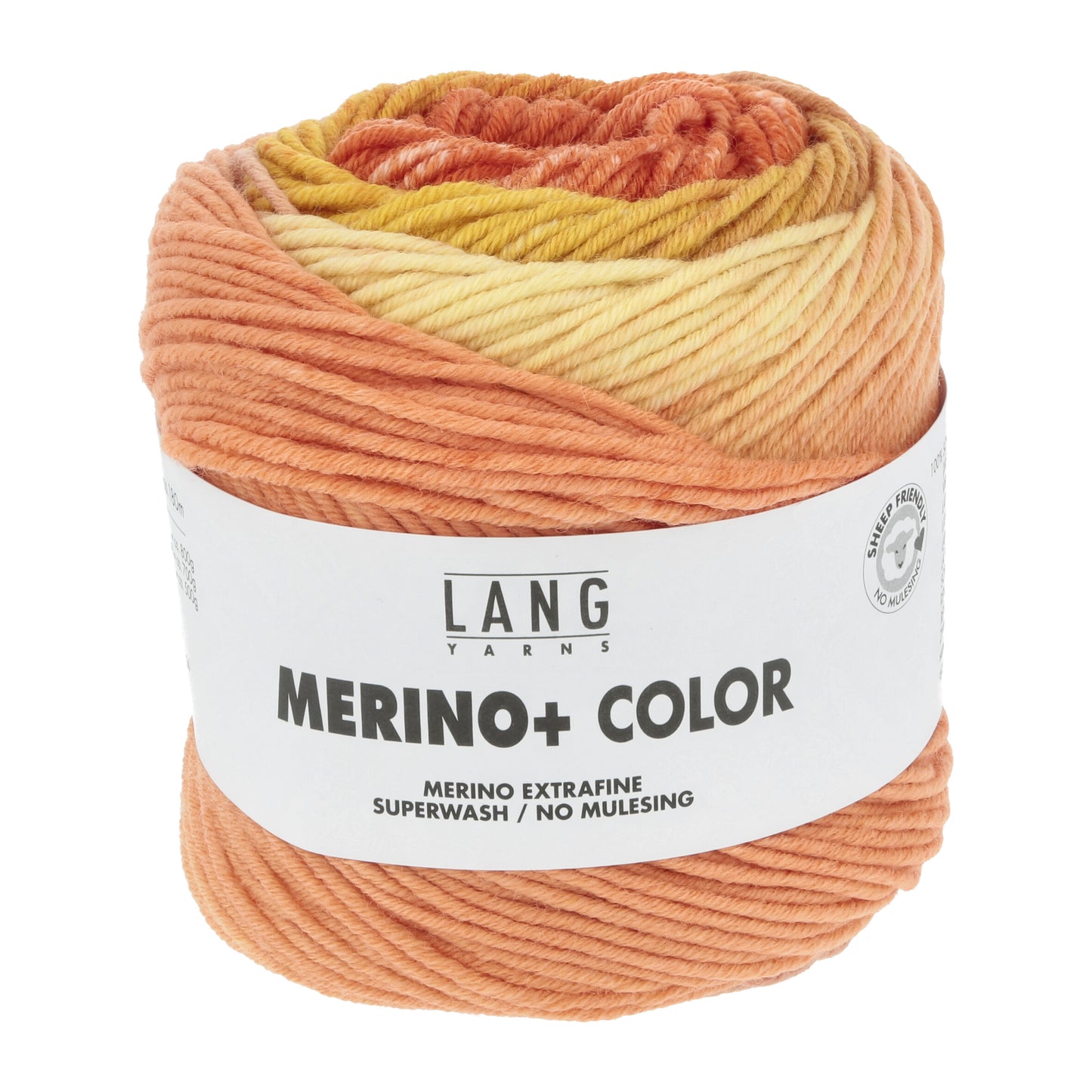 MERINO+ COLOR