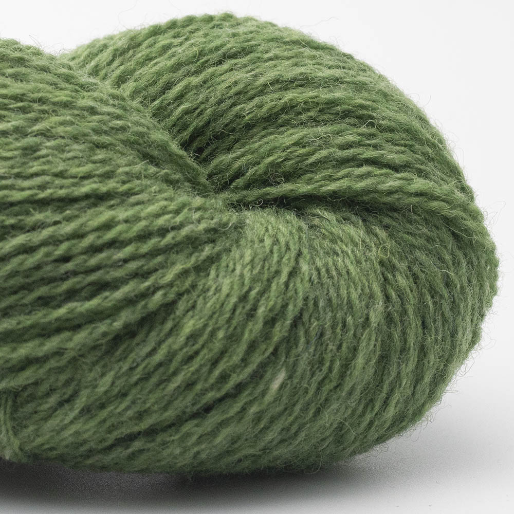 BIO SHETLAND